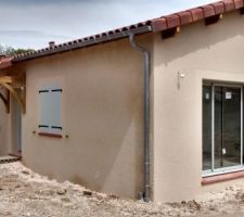 Crepis fini ( grain et encadrement en gratt&eacute;)