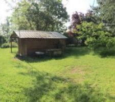 Terrain avant (abri de jardin / démontage cabane / grillage de séparation de la divison fait par les propio)