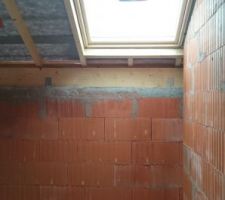 Velux