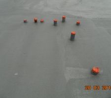 Dalle non zoom&eacute;e.