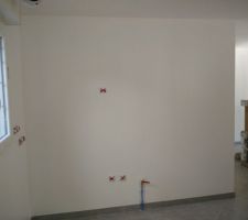 Peinture blanc velour (mur cuisine)