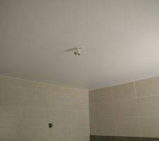 Peinture blanc satinée (plafond salle de bain)