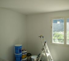 Peinture blanc velour (mur salle à manger)