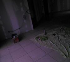 Carrelage