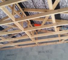 Ecran sous toiture