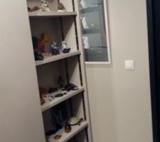 Côté de placard faisant office d'étage "collection tortues"