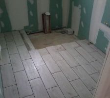 Carrelage salle de bain