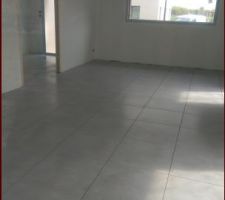 Carrelage 60 x 60 gris