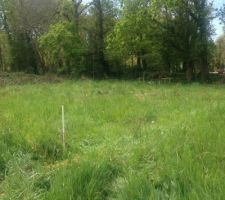 Piquets implantation maison