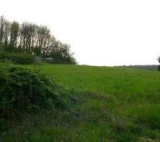 Nous avons eu un coup de coeur direct pour ce terrain, seul hic la topographie ... ya de la pente partout !