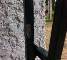 Grilles des défenses posées, abîmées ... A suivre