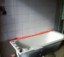 Preparation baignoire pour les toutous