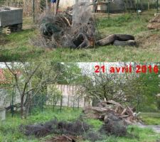 Elimination des déchets métalliques