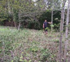 Avant toute decoupe des arbres