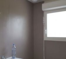 Peinture spécial salle de bain. .pas de faïence pour l'instant à voir ce que cela donne une fois quelques douche de prise