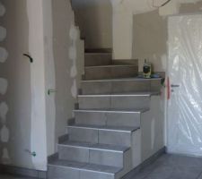 Escalier (les joints restent à faire sur cette photo)