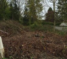 Les arbres du fond sont enfin tombés
On a plus qu'à attendre le début du chantier pour voir une nette différence