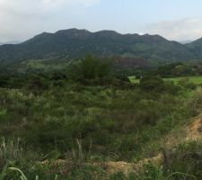 Le terrain avant toutes les modifications.