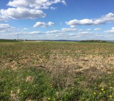 Terrain de 869m2 &agrave; Avize