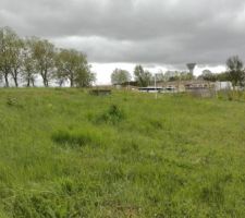 Le terrain cot&eacute; sud avant le d&eacute;broussaillage.