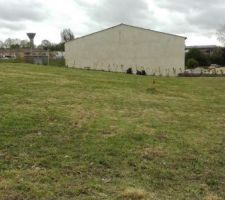 Le terrain cot&eacute; sud apr&egrave;s le d&eacute;broussaillage.