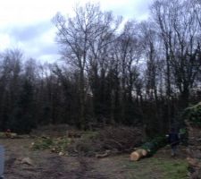 Le terrain avant le début des travaux on a fait tomber une quinzaine d'arbres sont 6 gros... enfin c'est fait