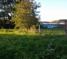 Cot&eacute; NORD EST