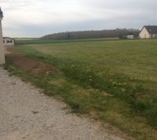 Remise état jardin et gazon semé 21/04/2016