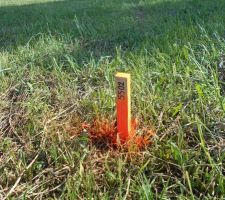 Le passage du g&eacute;om&egrave;tre