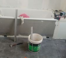 Travaux fa&iuml;ence salle de bain