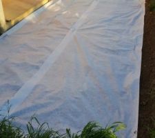 Geotextile futur terrasse