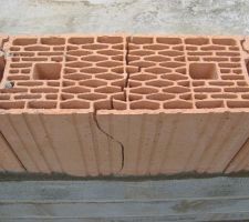 Voiçi le type de brique alvéolaire qui va composer nos murs. Question pour robert concernant la fissure sur cette brique?