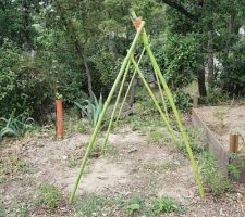 POTAGER