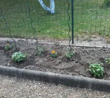 Potager