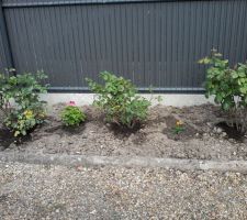 Potager