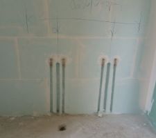 Double vasque