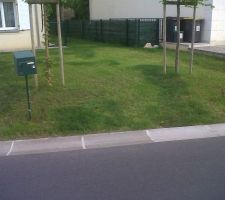 Le gazon prend forme