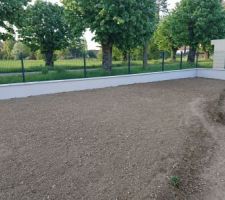 Aplanissement du terrain et pelouse