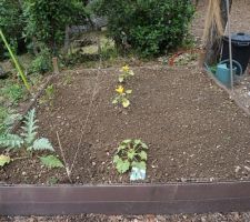 Carré de potager.