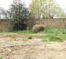 Implantation - Mince, le houx est juste devant la baie du salon :-(