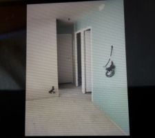 Les cloisons sont montées,couloir qui dessert chambres,sdb et wc