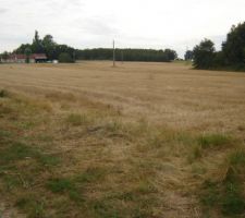 Les 4 terrains vue d ensemble