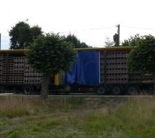 Arrivée camion