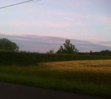 Prise de vue du terrain lors de l'achat