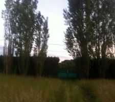 Prise de vue du terrain lors de l'achat