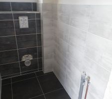 Carrelage toilette invit&eacute;s