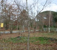 1&egrave;re visite du terrain