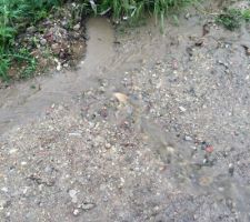 Un jour de pluie sur la rue