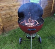 Weber Master Touch