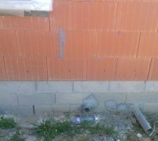 Protection anti-termites par injection.
On admirera en passant la qualité de construction du vide sanitaire....selon MCS